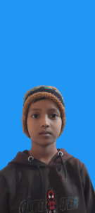 মোঃ আরাফাত হোসাইন